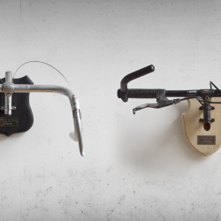 Bicycle Taxidermy, Regan Appleton