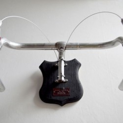 Hetchins - Bicycle Taxidermy, Regan Appleton